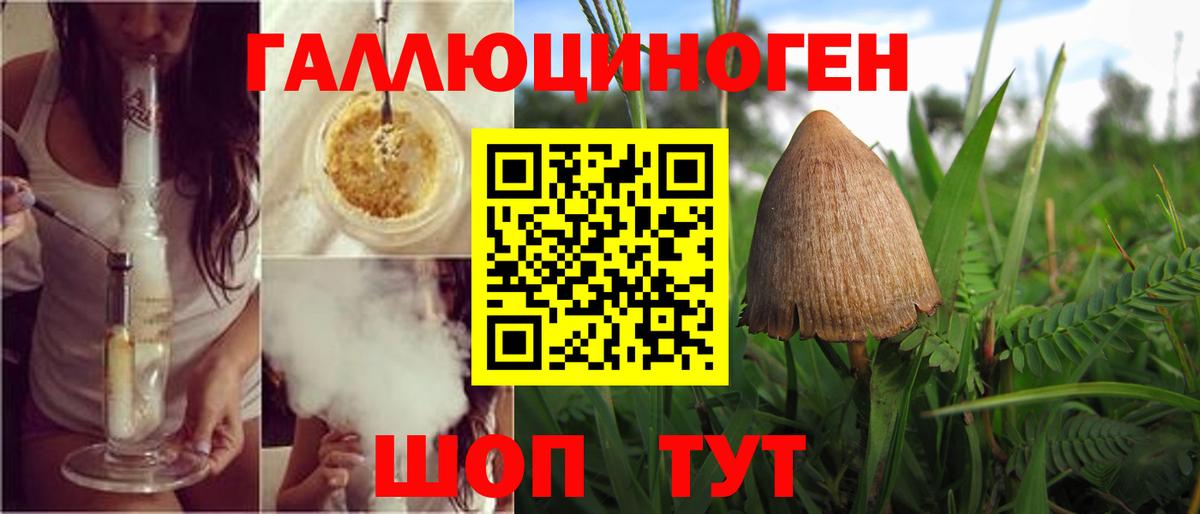 Киселёвск  Псилоцибиновые грибы GOLDEN TEACHER  Вход с VPN 